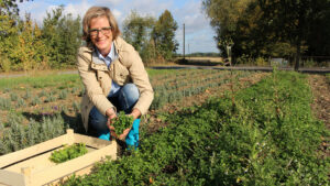 Dorothee Schwienhorst bei der ernte von frischer Minze