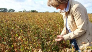 Dorothee Schwienhorst im Buchweizenfeld