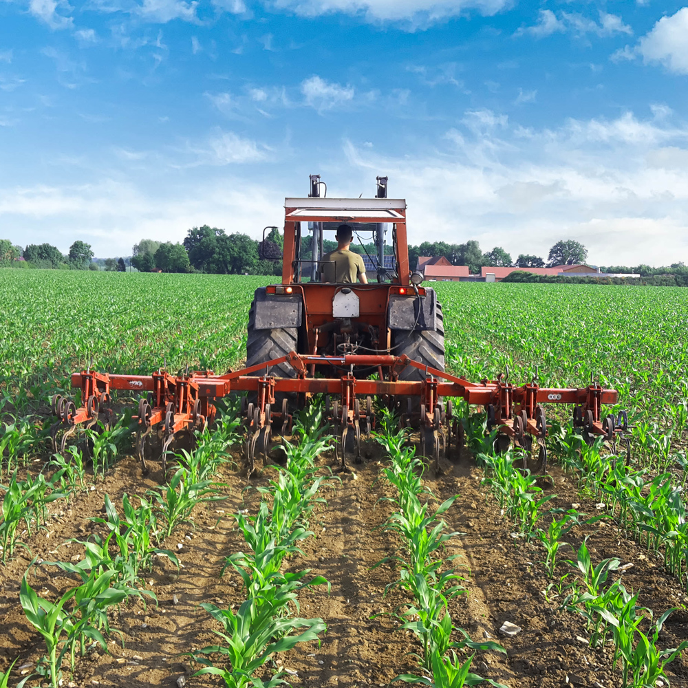 Wir bilden Landwirtinnen und Landwirte aus! Bewerbe Dich beim Hof Schwienhorst